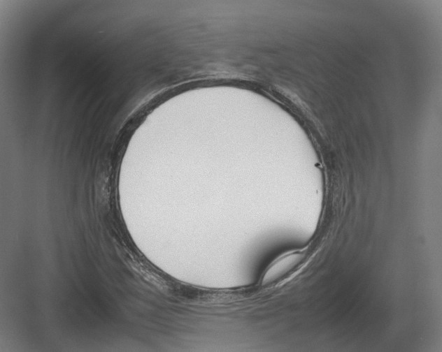 X0000082151163200702162201