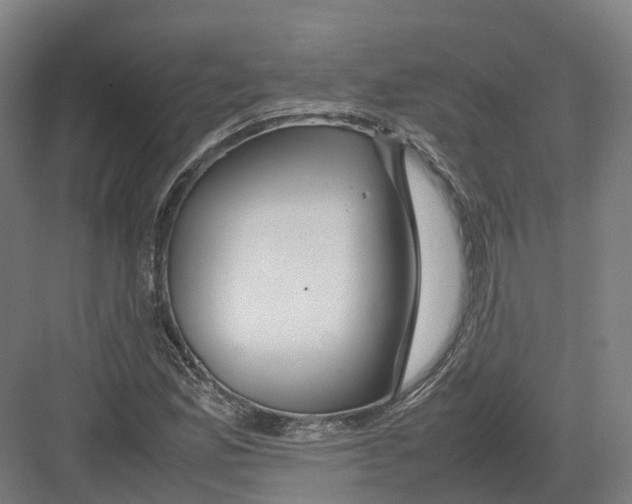 X0000082151165200702162201