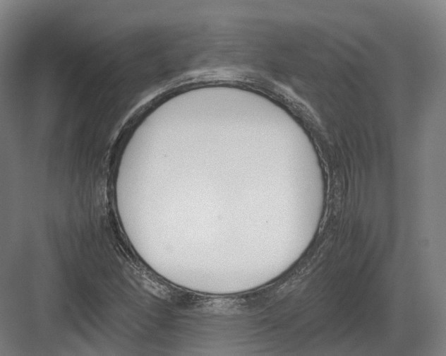 X0000082151166200702162201