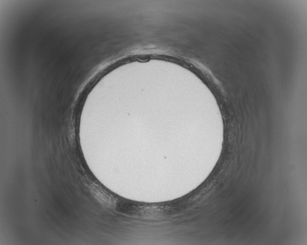 X0000082151167200702162201