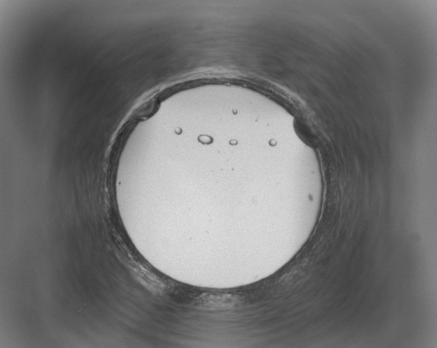 X0000082151168200702162201