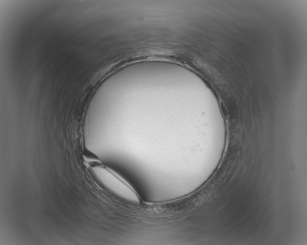 X0000082151169200702162201