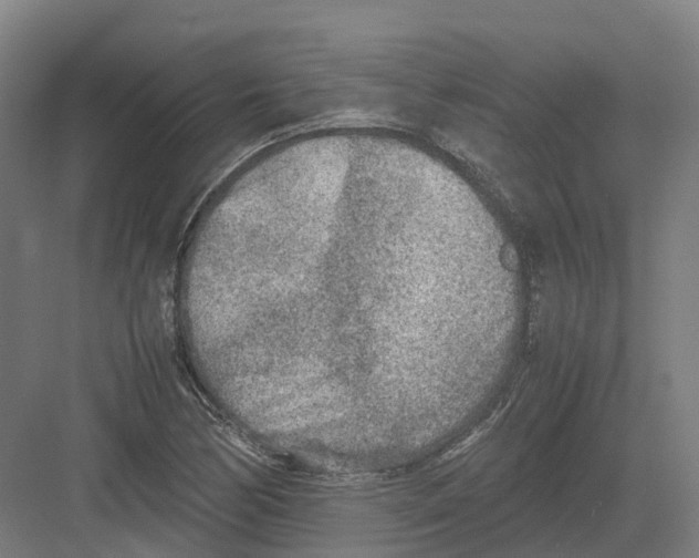 X0000082151170200702162201