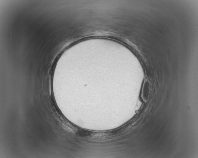 X0000082151171200702162201