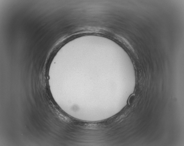 X0000082151172200702162201