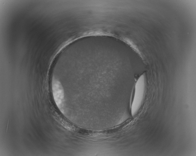 X0000082151173200702162201