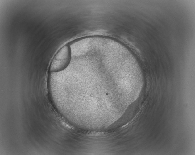 X0000082151174200702162201