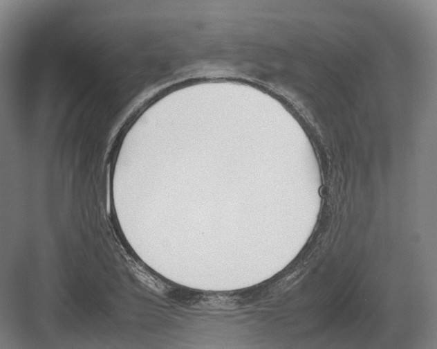 X0000082151175200702162201