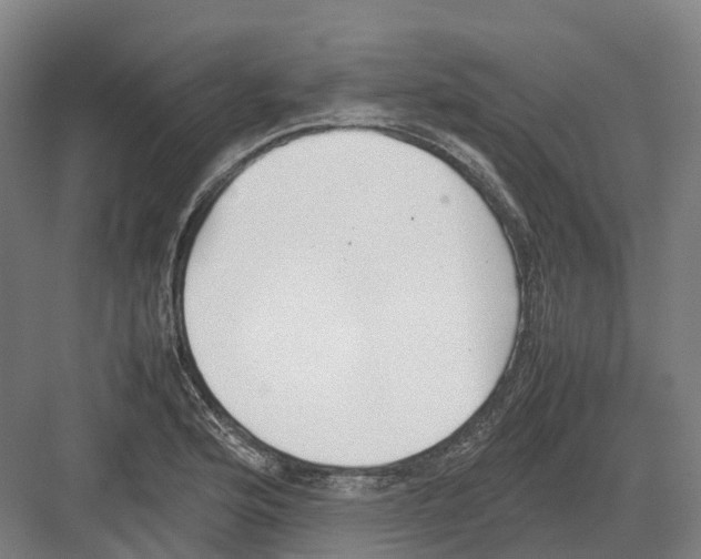 X0000082151176200702162201