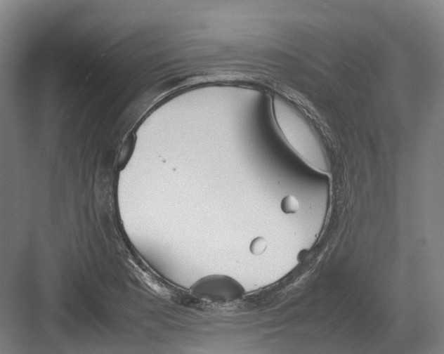 X0000082151177200702162201