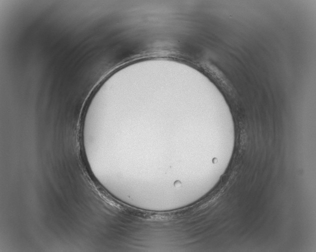 X0000082151178200702162201