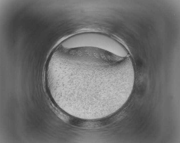 X0000082151179200702162201