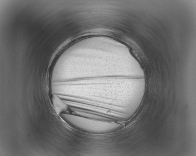 X0000082151180200702162201