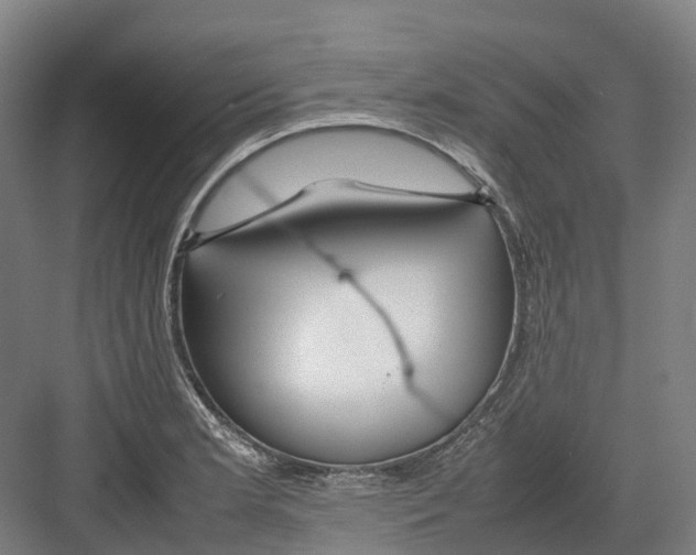 X0000082151181200702162201