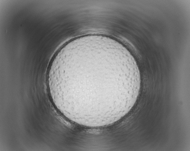 X0000082151182200702162201