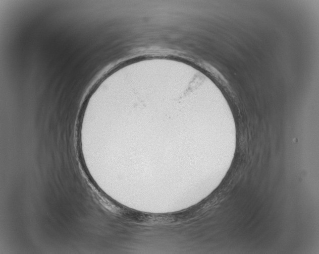 X0000082151183200702162200