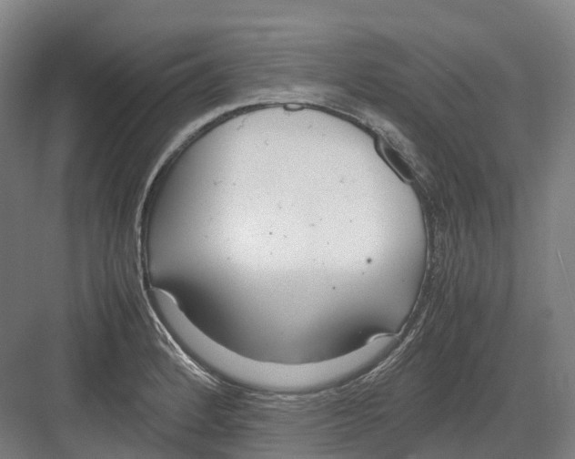 X0000082151184200702162200