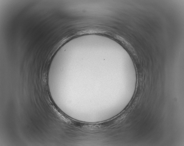 X0000082151185200702162200