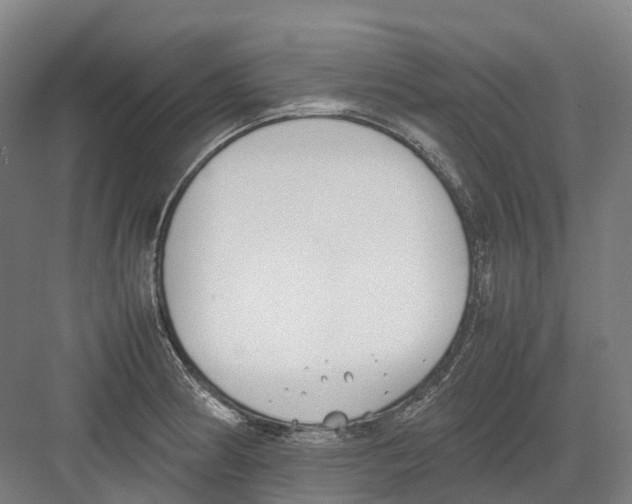 X0000082151186200702162200