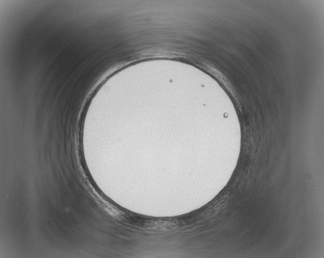 X0000082151187200702162200