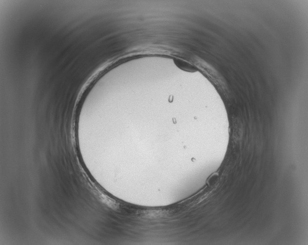 X0000082151188200702162200