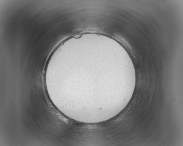 X0000082151190200702162200