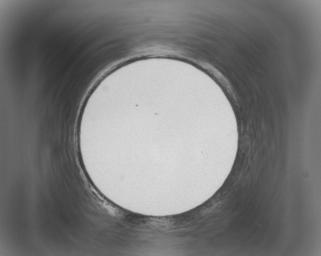 X0000082151191200702162200