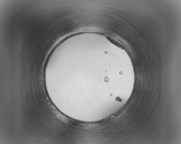 X0000082151192200702162200