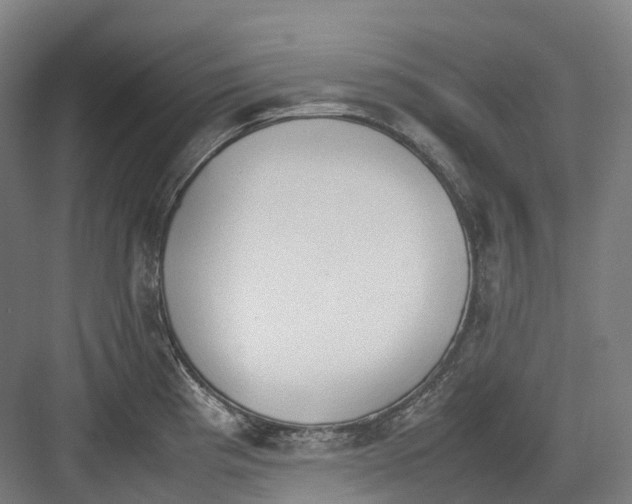 X0000082151193200702162200