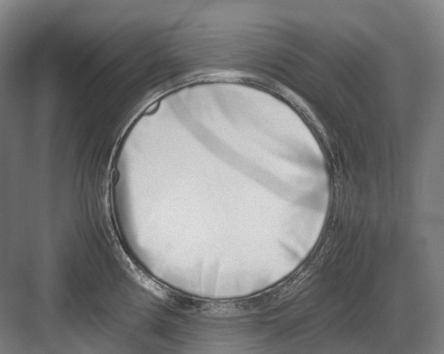 X0000082151194200702162200