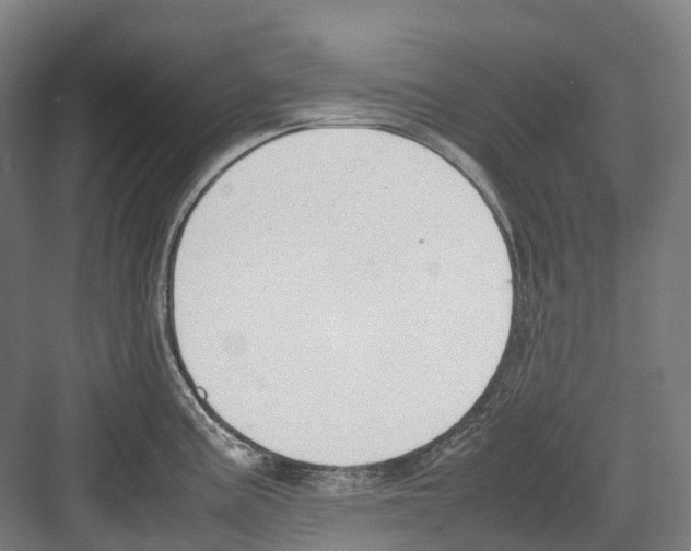 X0000082151195200702162200