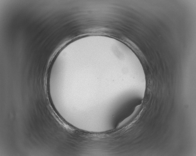 X0000082151196200702162200