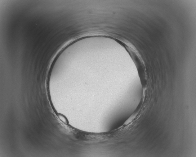 X0000082151197200702162200