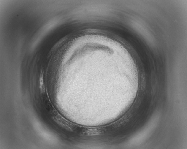 X0000082151198200702162200