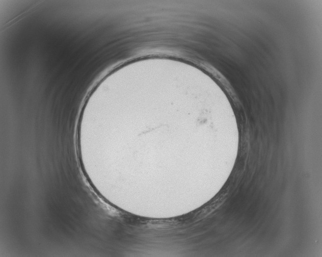 X0000082151199200702162200