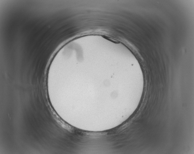 X0000082151200200702162200