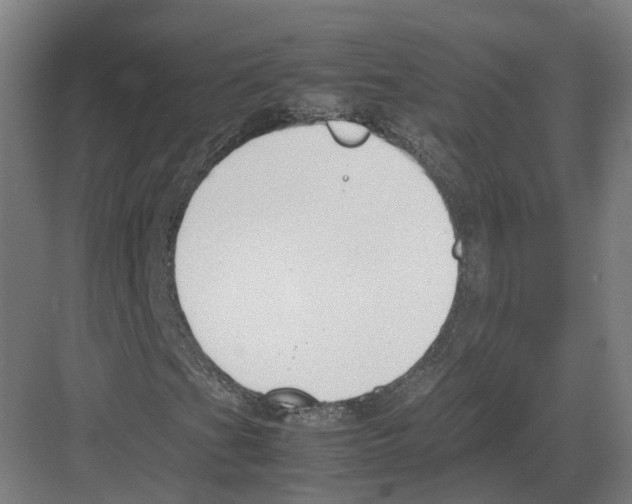 X0000082151201200702162159