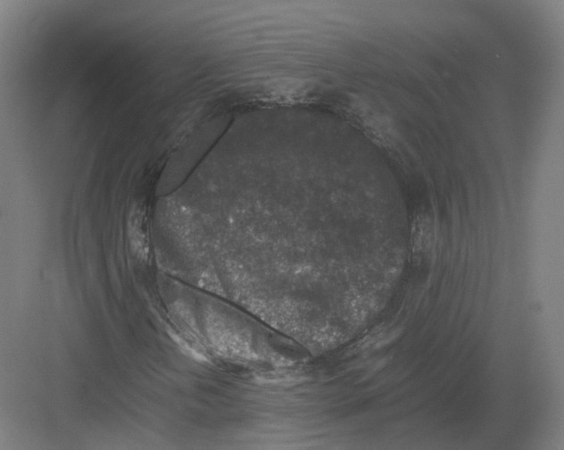 X0000082151202200702162159