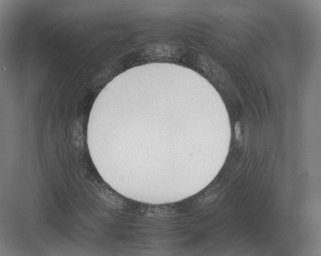 X0000082151203200702162159