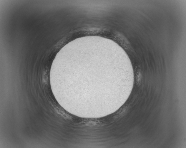 X0000082151204200702162159