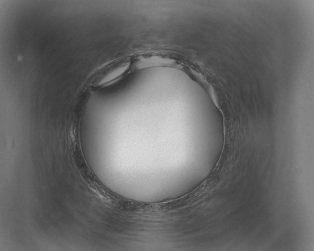 X0000082151206200702162159