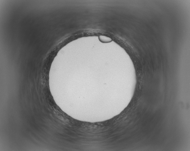 X0000082151207200702162200