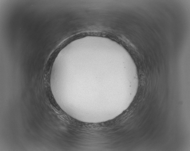 X0000082151208200702162200