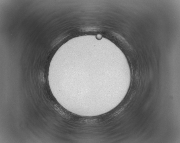 X0000082151209200702162200