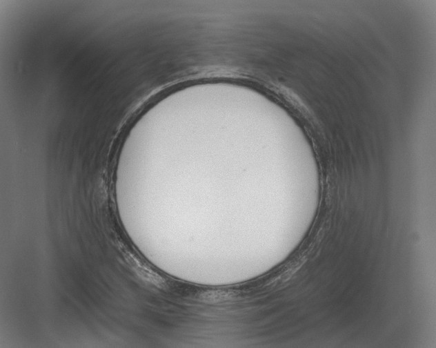 X0000082151212200702162200