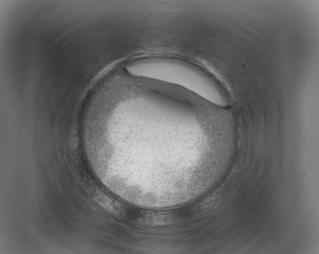 X0000082151213200702162200