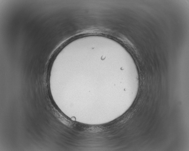 X0000082151216200702162200