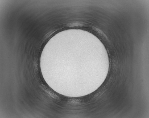 X0000082151217200702162200