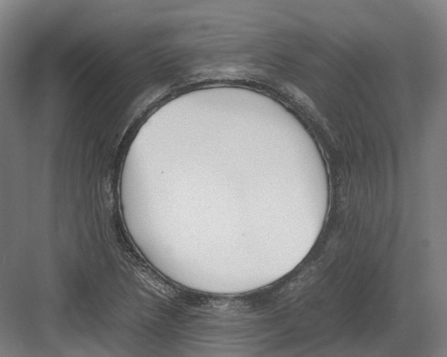 X0000082151218200702162200