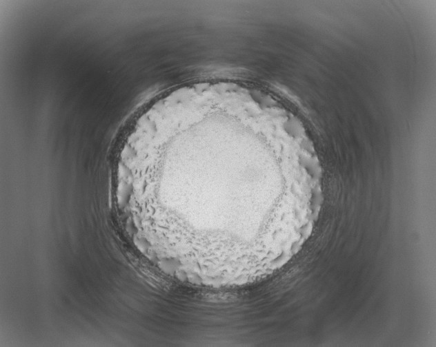 X0000082151219200702162200